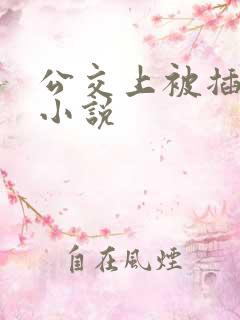 公交上被插高潮小说