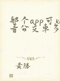 那个app可以看公交车多久到站的软件
