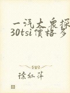 一汽大众探岳330tsi价格多少