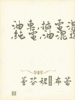 油车,插电混动,纯电,油混选哪个好