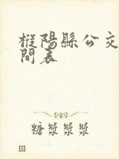 枞阳县公交车时间表
