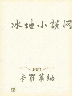 冰地小说网