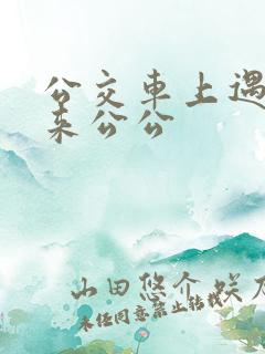 公交车上遇到未来公公