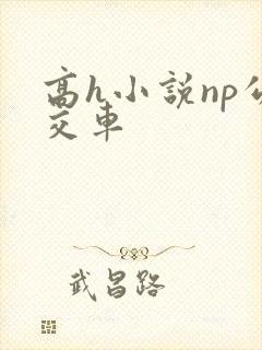 高h小说np公交车