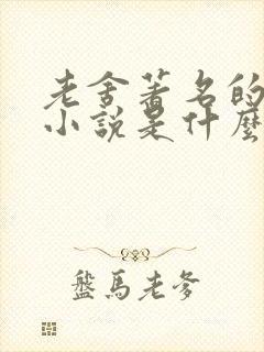 老舍著名的长篇小说是什么