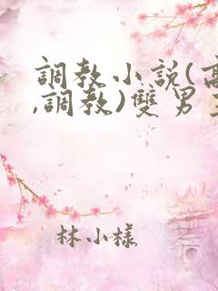 调教小说(高h,调教)双男主