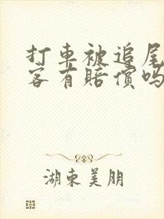 打车被追尾了乘客有赔偿吗