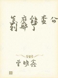 怎么能查公交车到哪了