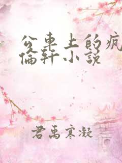公车上的疯狂h伦轩小说