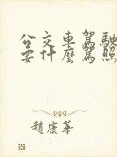 公交车驾驶员需要什么驾照
