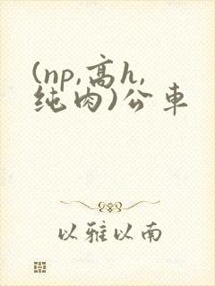 (np,高h,纯肉)公车