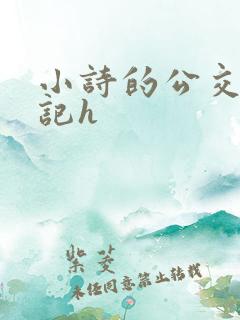 小诗的公交车日记h