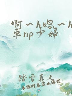 啊～h嗯～h公车np少妇