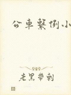 公车系例小说