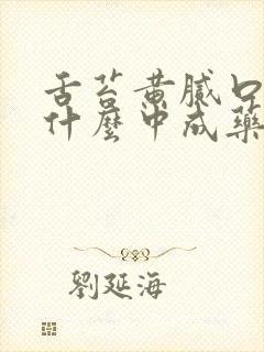 舌苔黄腻口臭吃什么中成药
