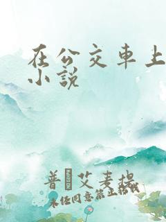 在公交车上被 小说