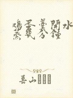鸡蛋羹开水上锅蒸几分钟