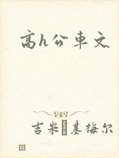 高h公车文