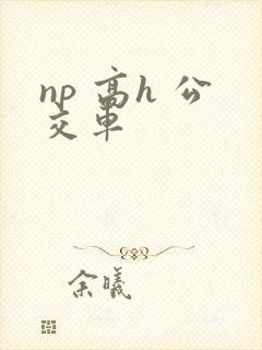 np 高h 公交车