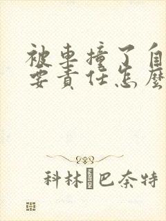 被车撞了自己主要责任怎么赔偿