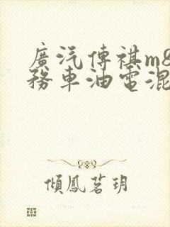 广汽传祺m8商务车油电混合