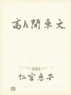 高h开车文