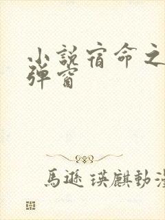 小说宿命之环无弹窗