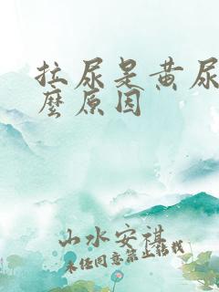 拉尿是黄尿是什么原因