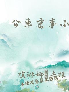公车密事小说