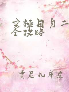 究极日月二周目全攻略