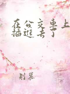 在公交车上被人插进去了
