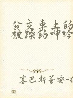 公交车上的女人被躁的呻吟