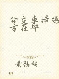 公交车扫码的地方在哪