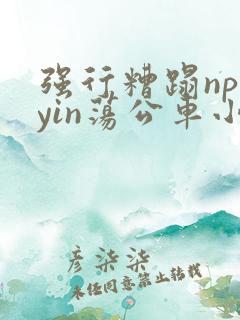 强行糟蹋np肉yin荡公车小说