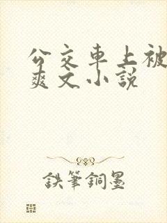 公交车上被强上爽文小说