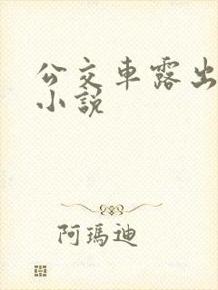 公交车露出调教小说