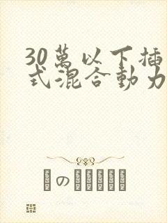 30万以下插电式混合动力车型
