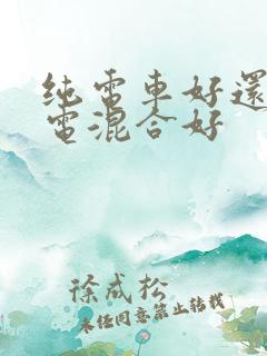 纯电车好还是油电混合好