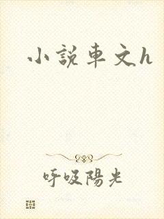 小说车文h
