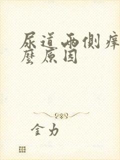 尿道两侧痒是什么原因