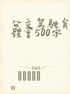 公交驾驶员心得体会500字
