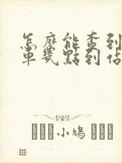 怎么能查到公交车几点到站