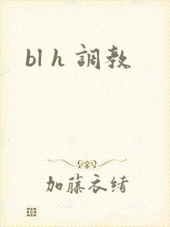 bl h 调教