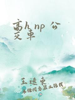 高h np 公交车