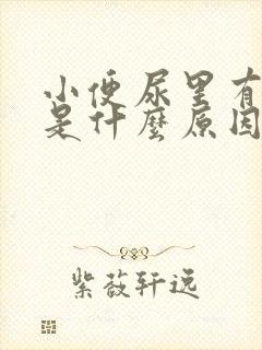 小便尿里有泡沫是什么原因