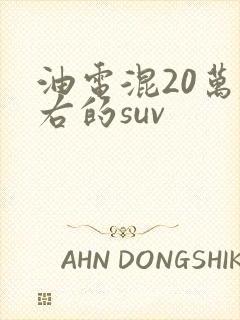油电混20万左右的suv