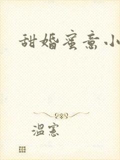 甜婚蜜意小说