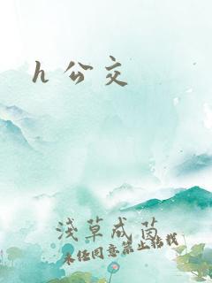 h 公交