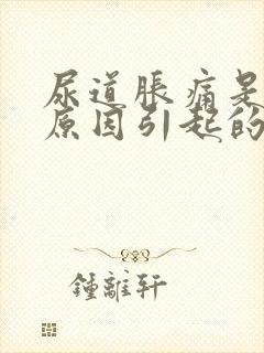 尿道胀痛是什么原因引起的