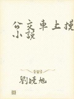 公交车上摸美女小说